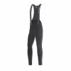 GOREWEAR C5 THERMO Bib Shorts